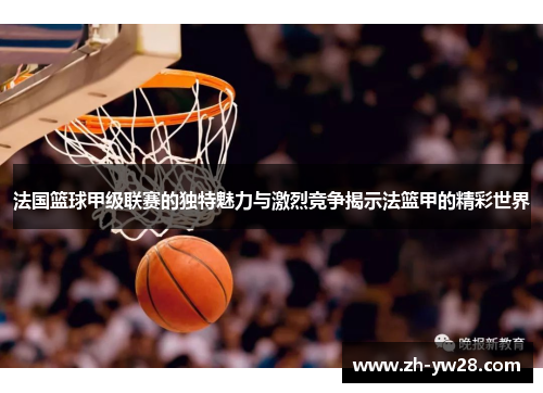 法国篮球甲级联赛的独特魅力与激烈竞争揭示法篮甲的精彩世界